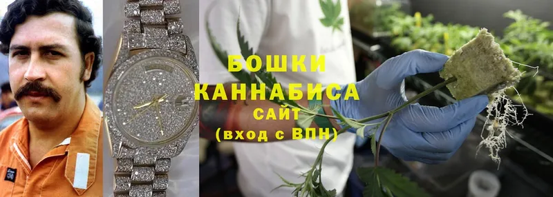 сайты даркнета состав  где продают наркотики  Ртищево  Шишки марихуана SATIVA & INDICA 